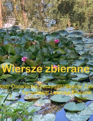 Wiersze zbierane latem. Fot. Daria Danuta Lisiecka